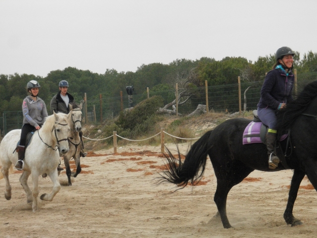  Im Galopp starten 